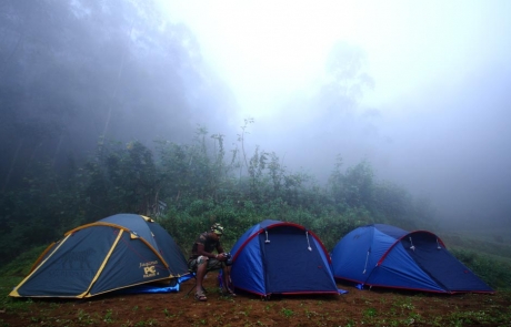 multiple days trekking in munnar, multiple days hiking in kerala, long trekking paths in munnar, hiking in munnar, camping in munnar, how to book multiple days trek in kerala, multiple days trekking in Wayanad