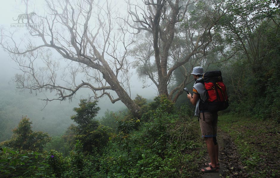 munnarhiking